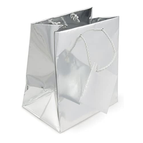 Small Metallic Gift Bag